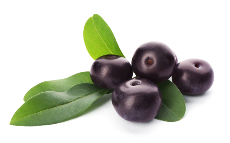 acai berry iStock 1352279104