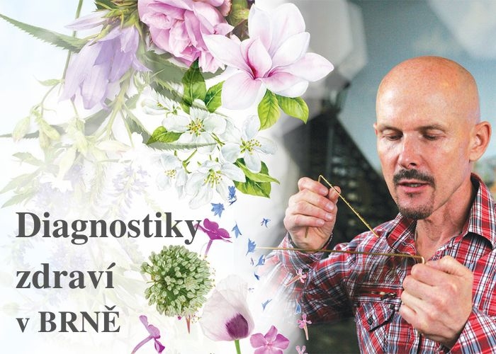 Diagnostiky_zdraví4