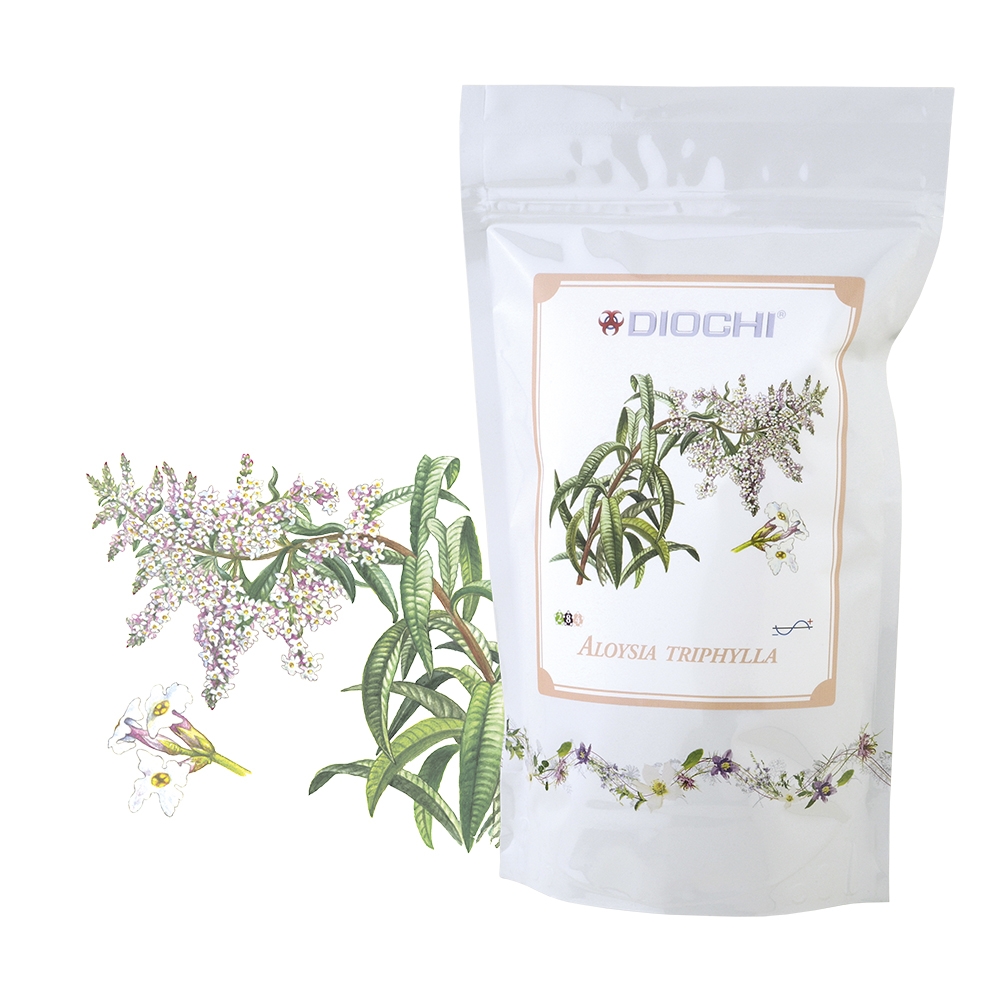 Aloysia triphylla