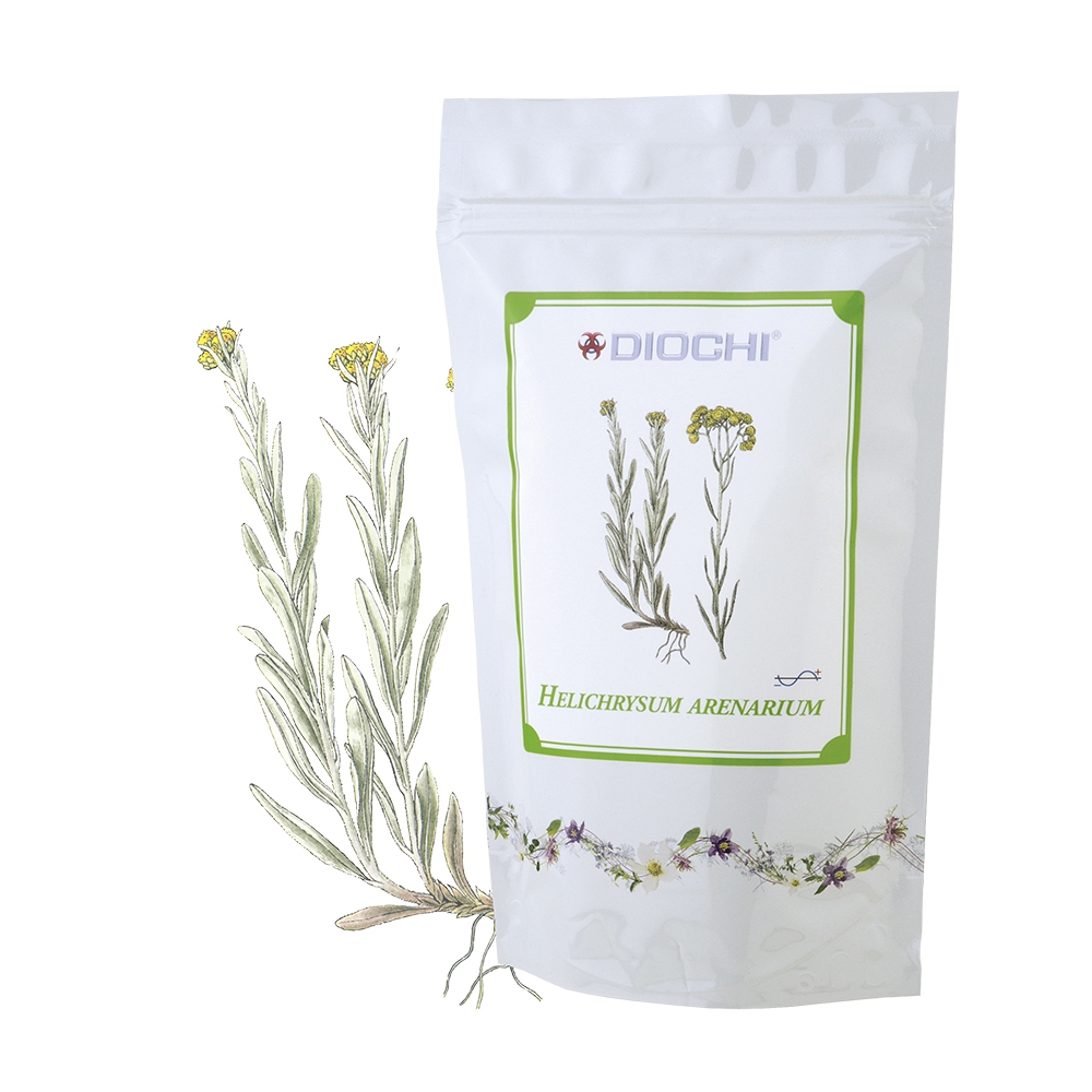 Helichrysum arenarium