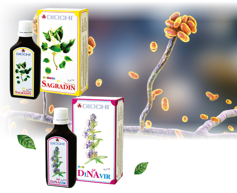 na plisne se sagradinem