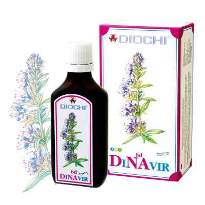 web dinavirkopie