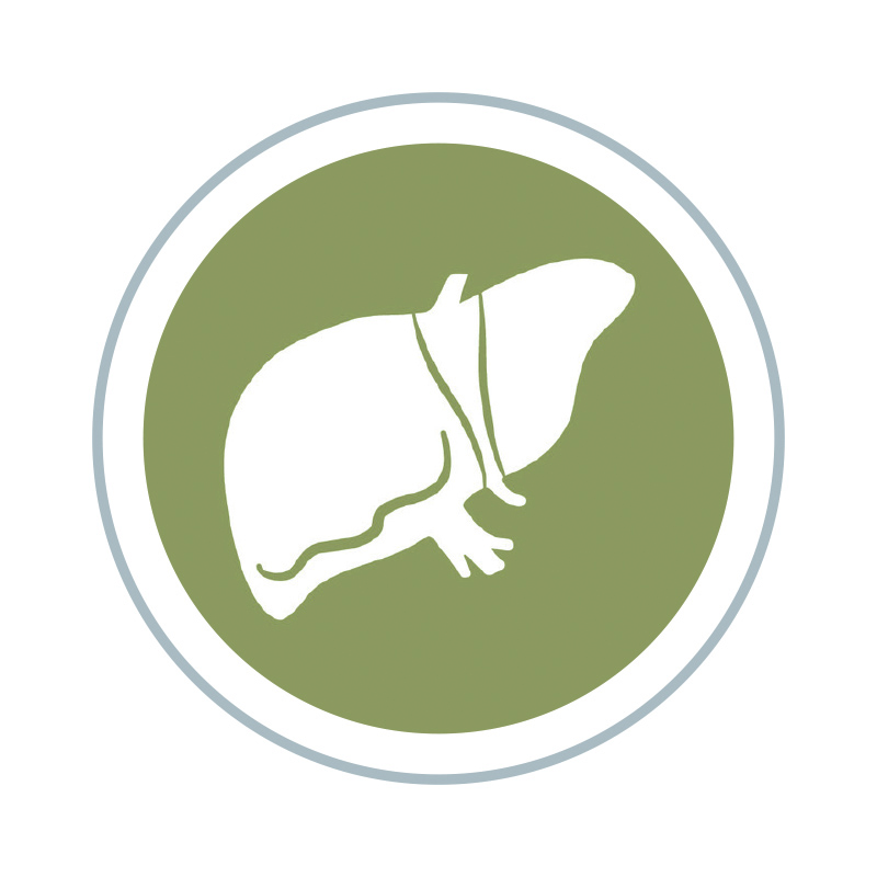 KONY NEMOCI 18 kopie